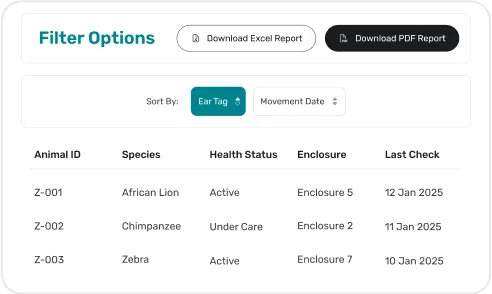 image of custom report builder