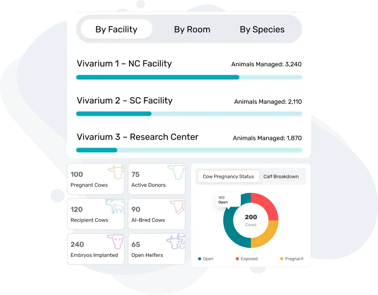 image of reporting & analytics