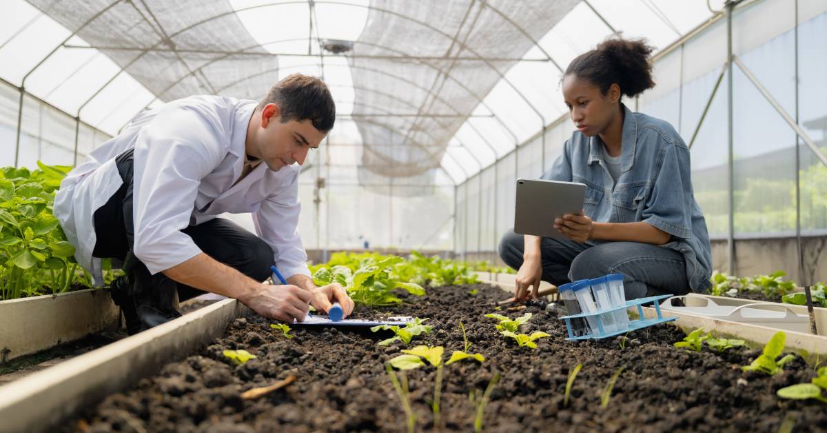 Horticulture vs Agriculture