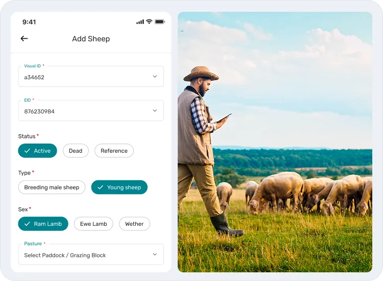 image showcasing activities in animal record management