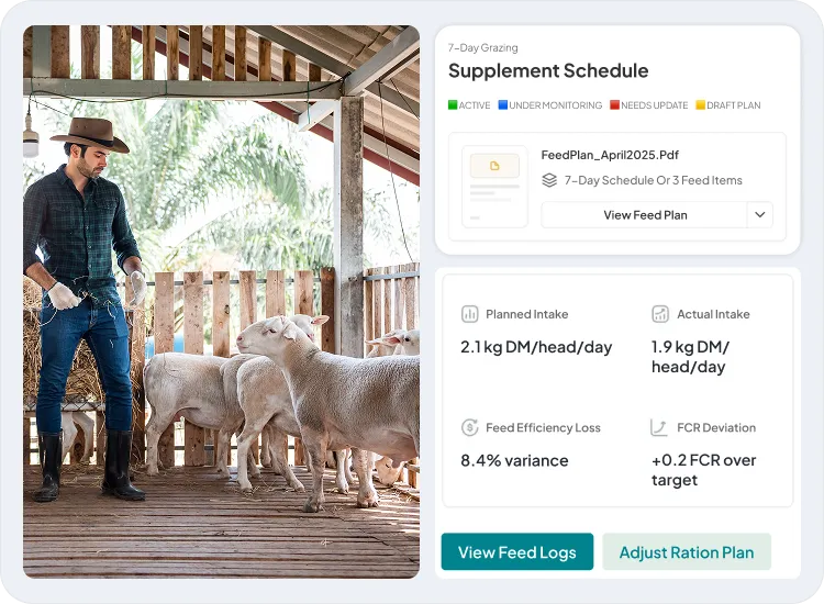 image showcasing activities in feed 7 nutrition management