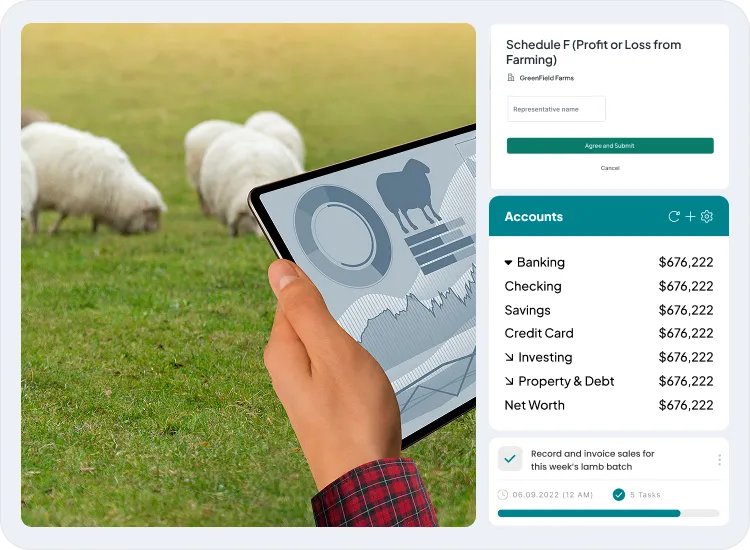 image showcasing activities in financial management