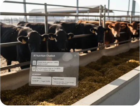 image of AI Nutrition Chatbot