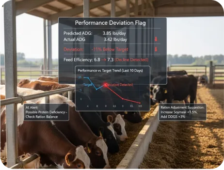 image of Performance Deviation Flag