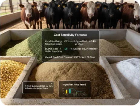 image of Cost Sensitivity Forecast