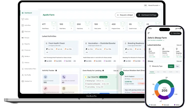 dashboard screen of sheep management software activities