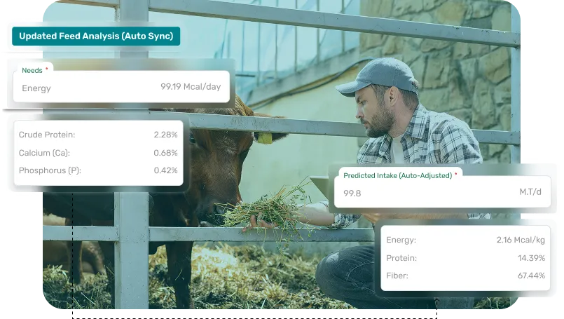 image showcasing real time precision ration