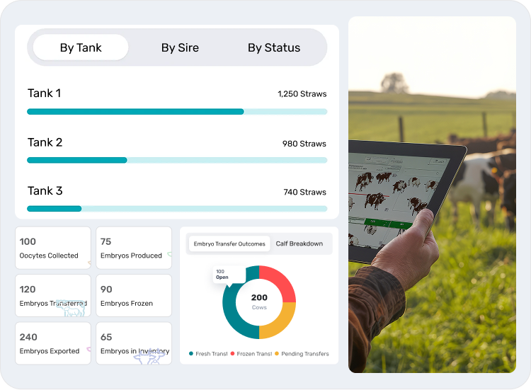 image showcasing reporting & analytics