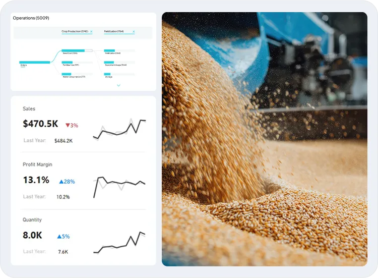screen of reporting & business intelligence