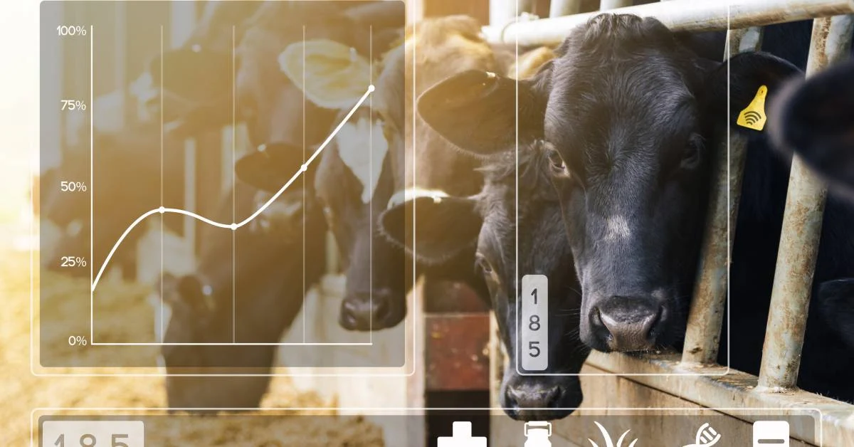 analytics in dairy
