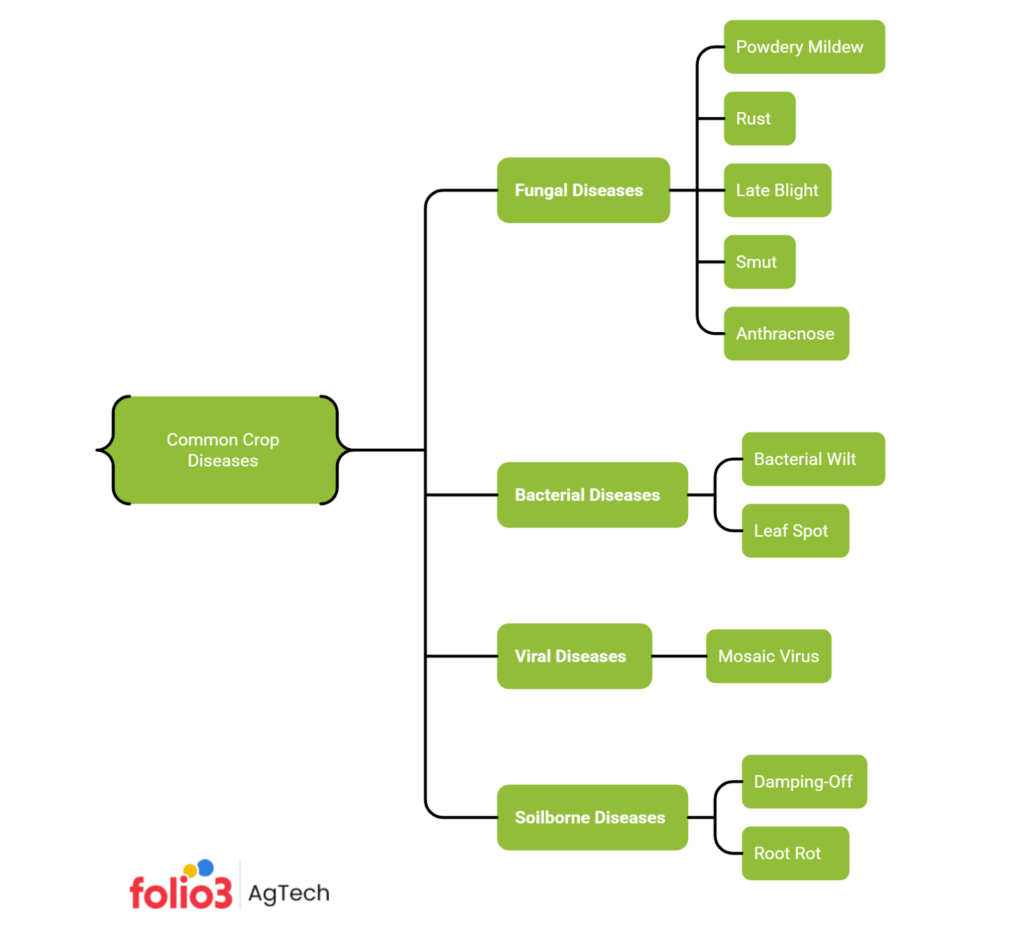 crop diseases