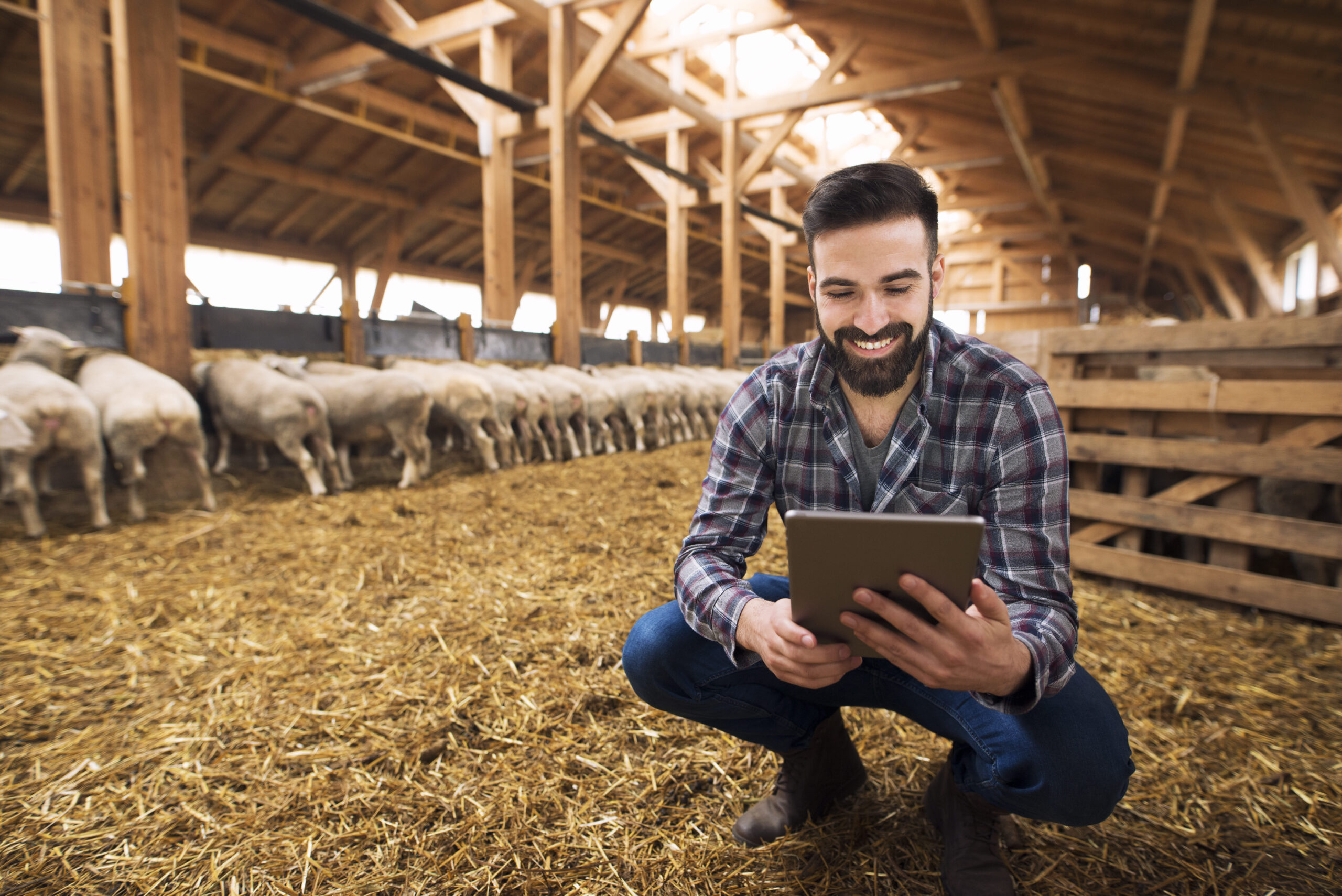 Animal breeding apps