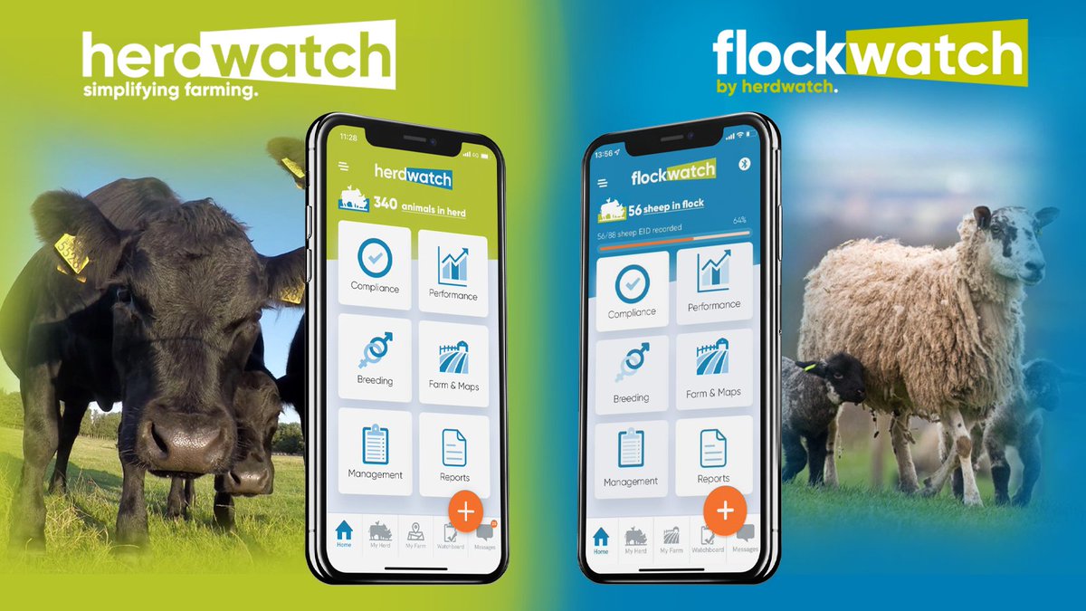 herdwatch