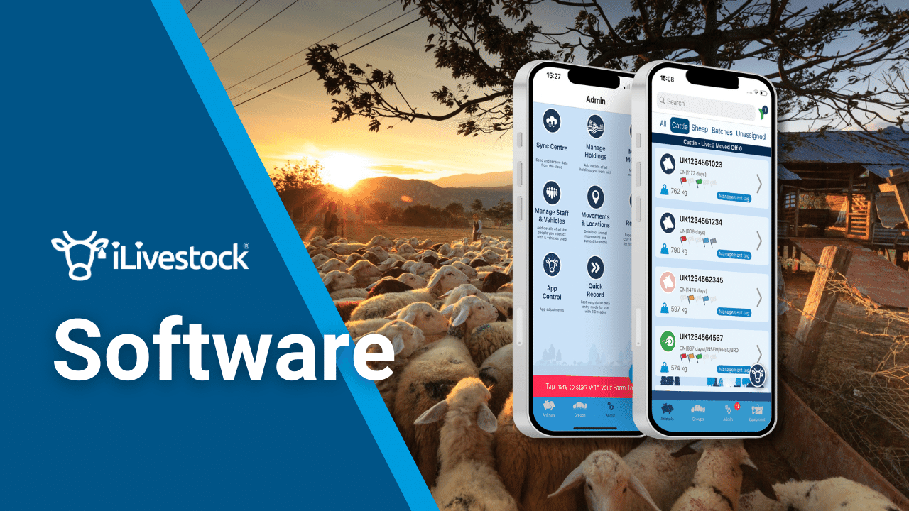 ilivestock