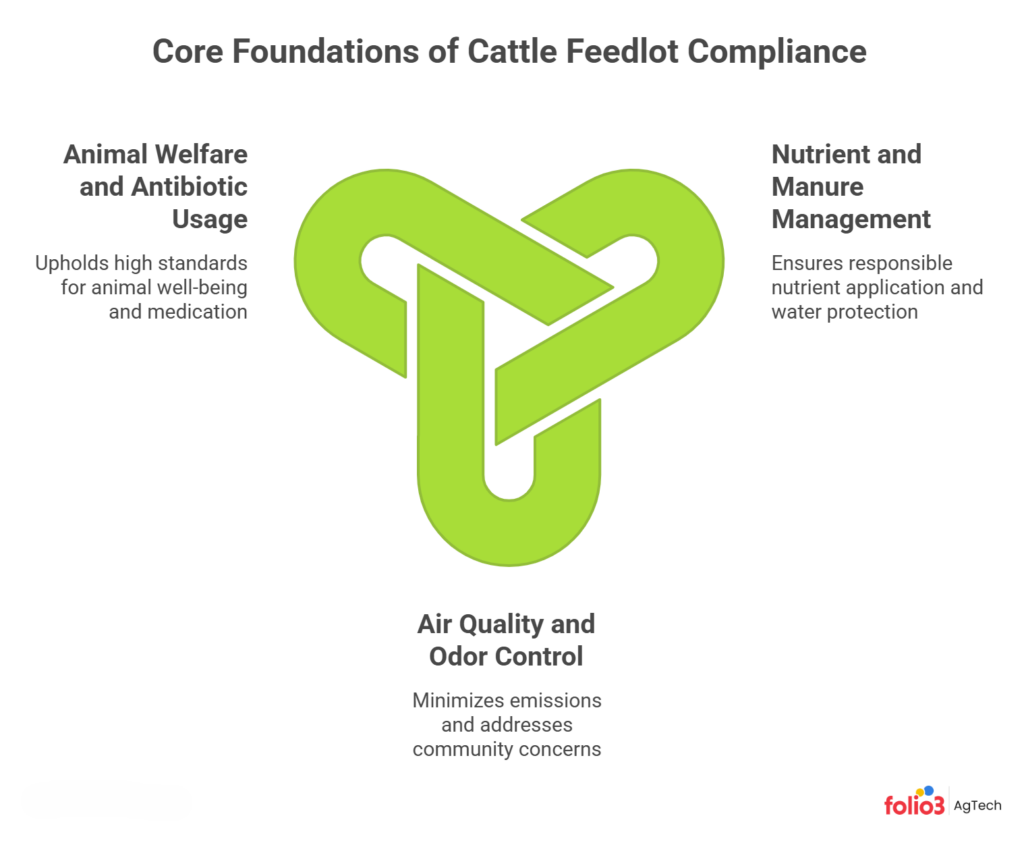 3 Key Focus Areas of Cattle Feedlot Compliance