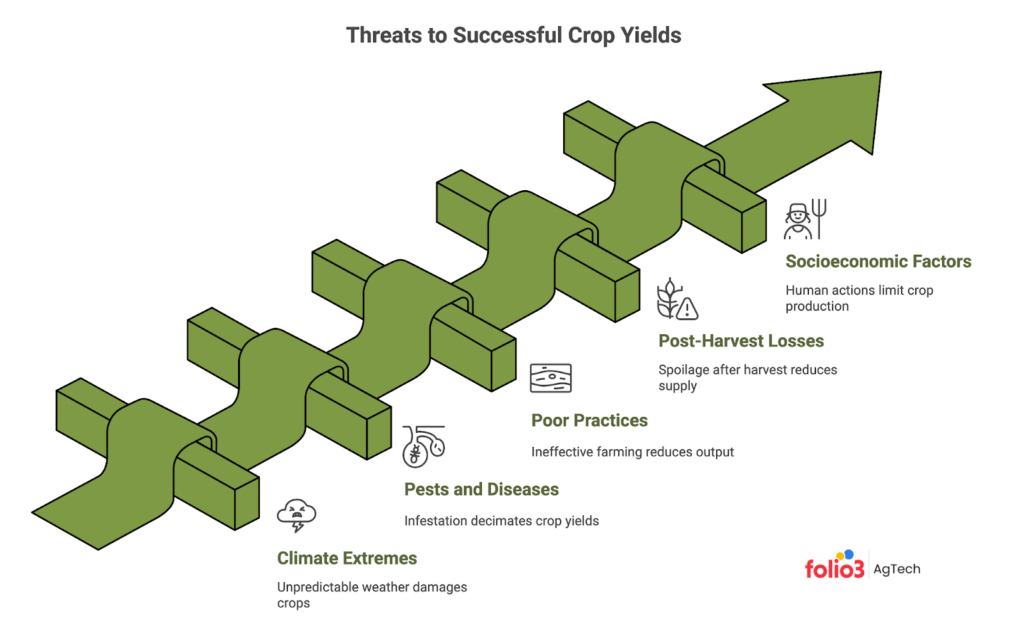 crop failure