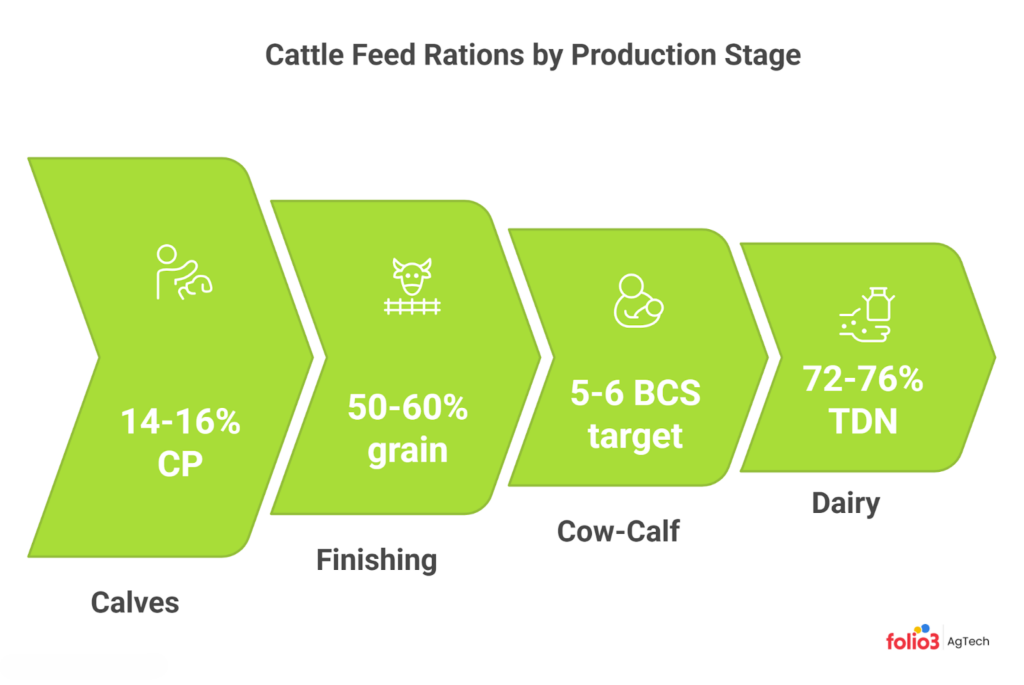 Tailoring Feed Rations by Cattle Type and Production Stage