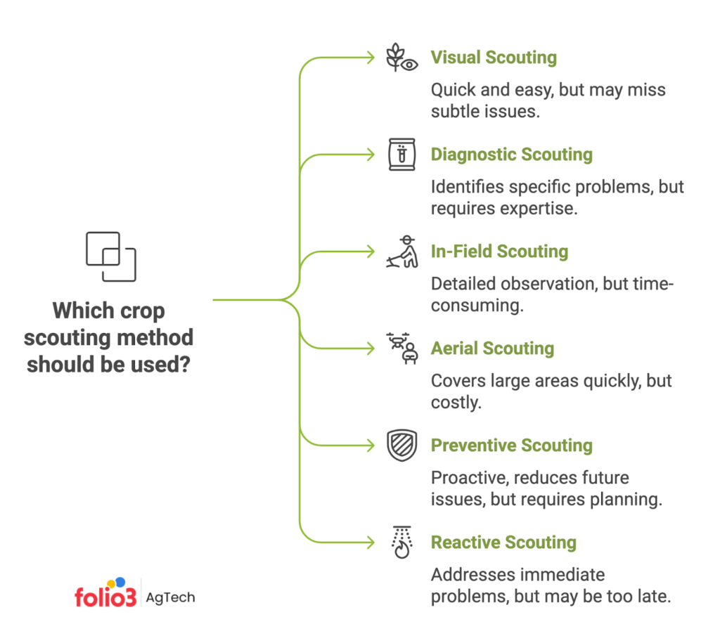 Crop Scouting