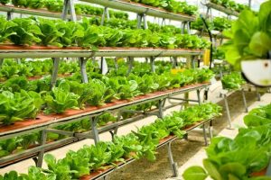 fourth agricultural revolution is here