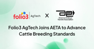 aeta