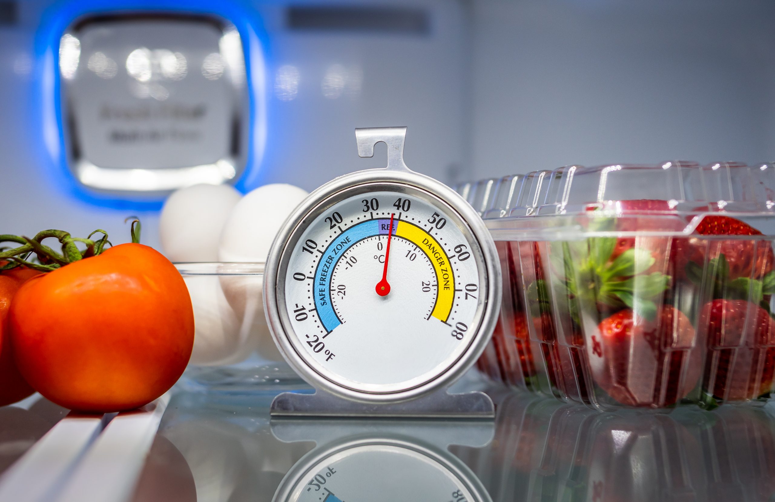 Food Safety Inspection