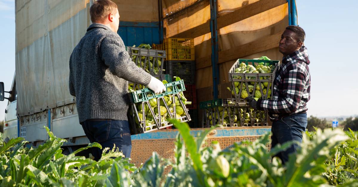 fresh produce supply chain