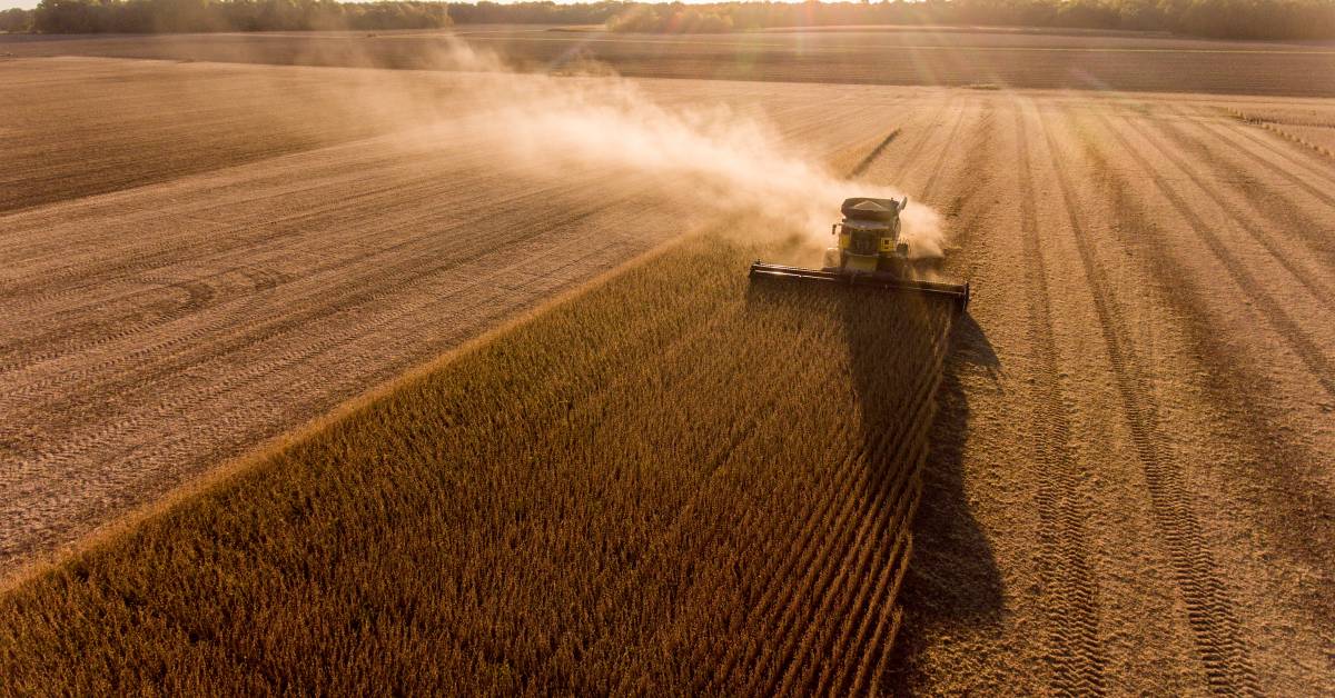 Harvest planning