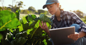 farm efficiency