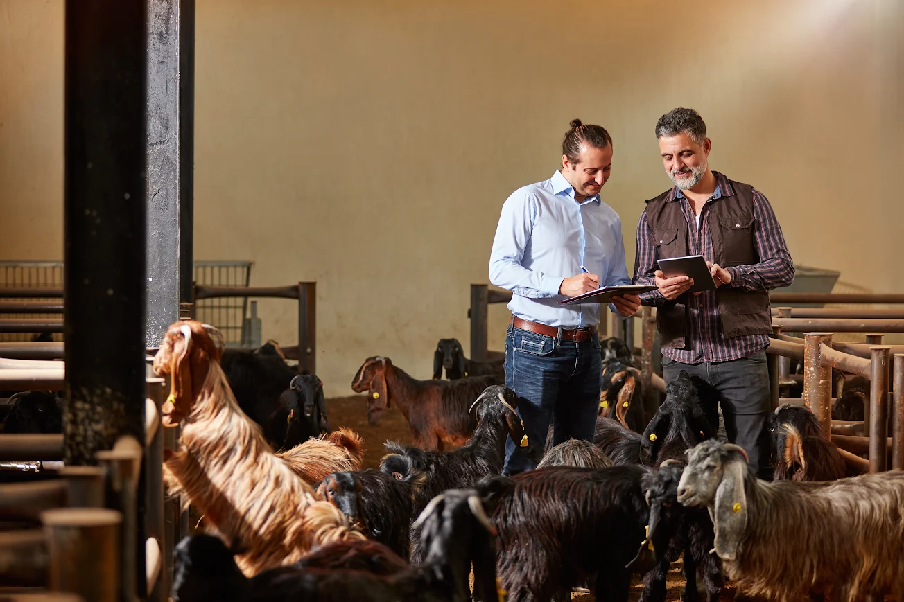 Livestock Financial Planning