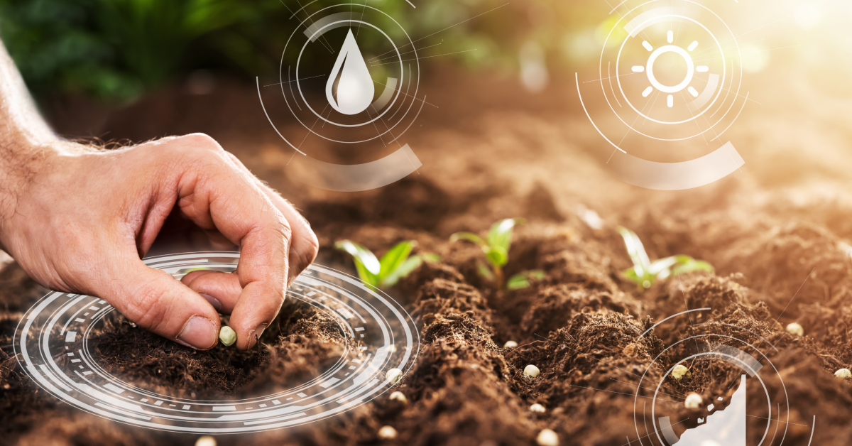 seed farming