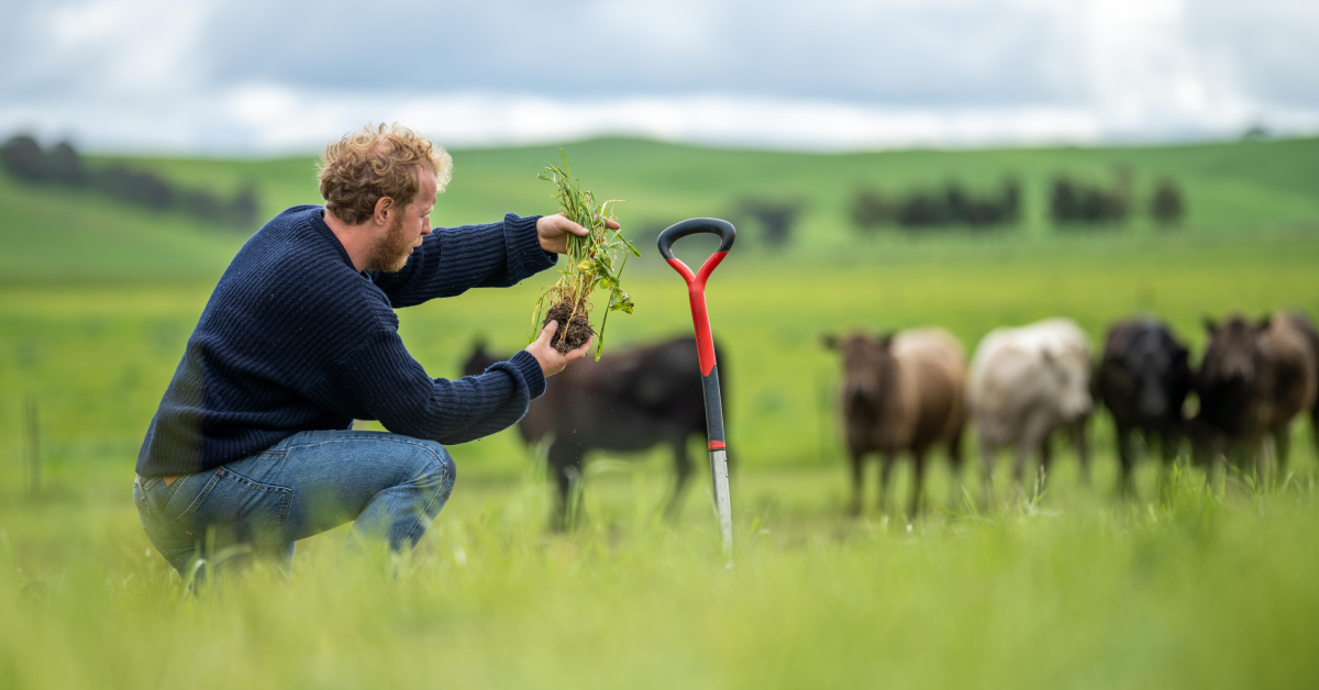 regenerative agriculture practices