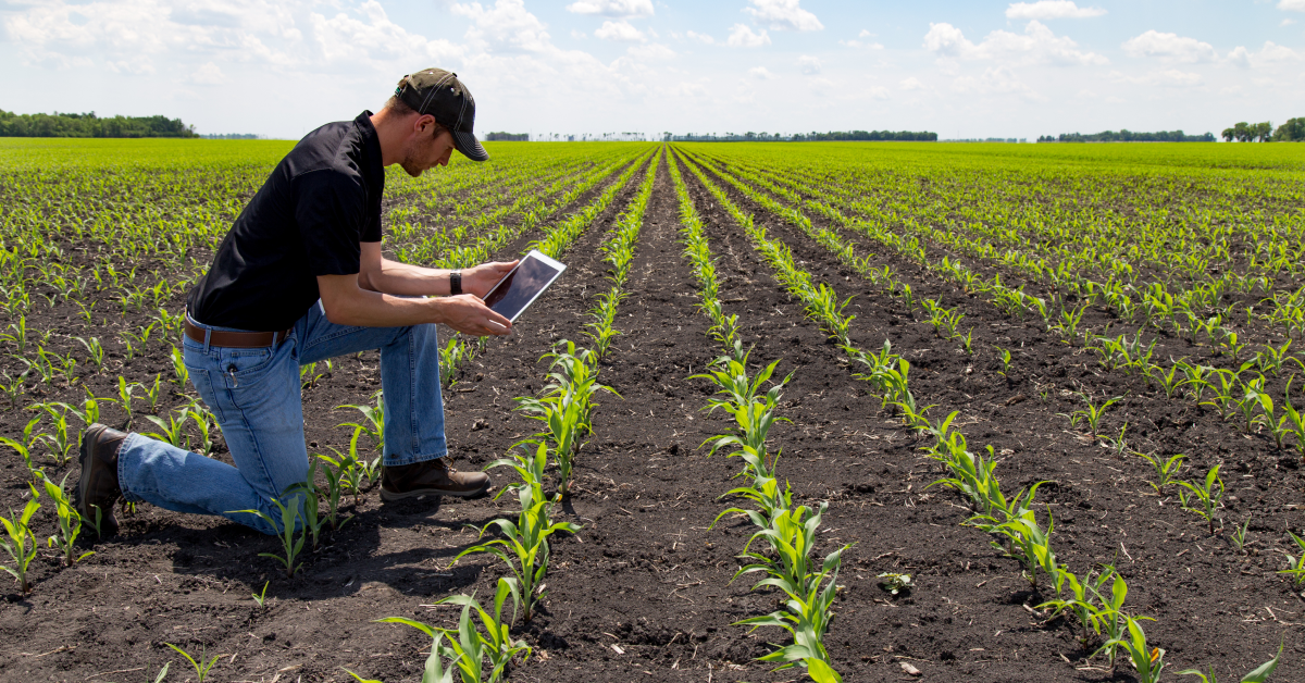 seed treatment