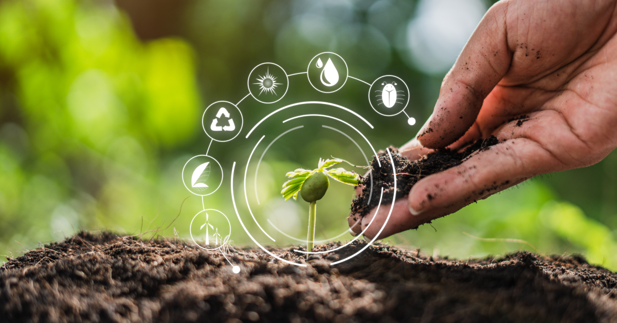 seed management