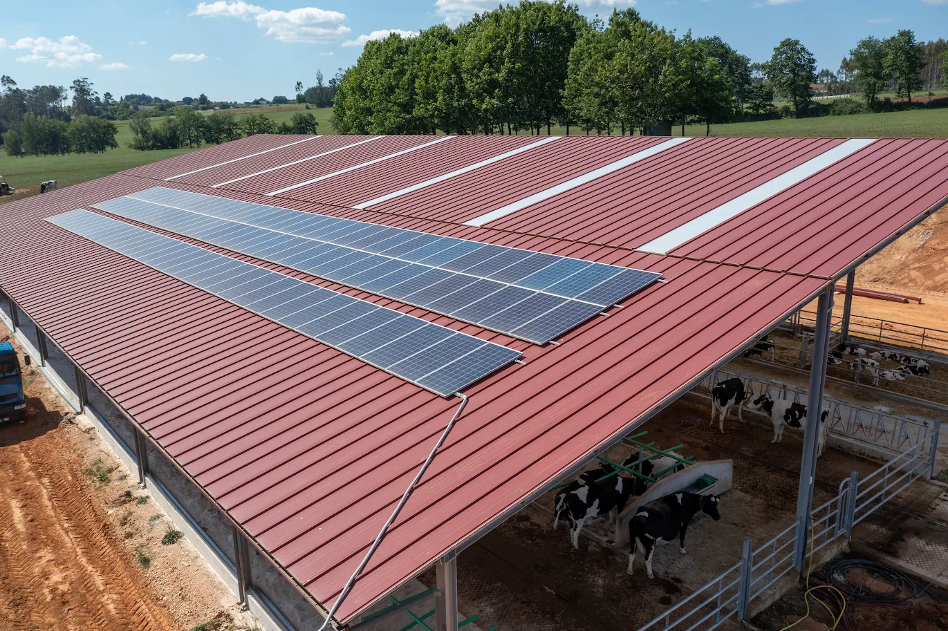 dairy farming