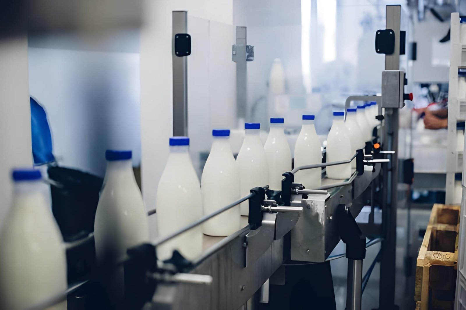 dairy processing