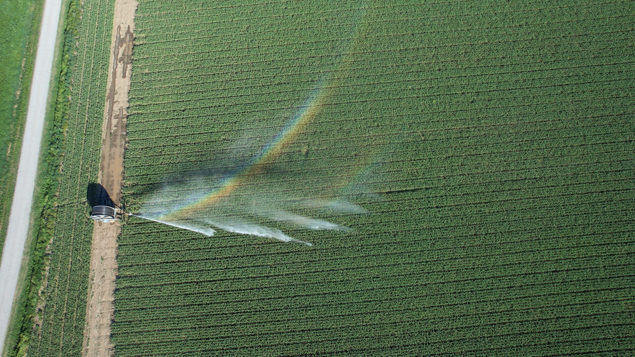 Agricultural Water Management
