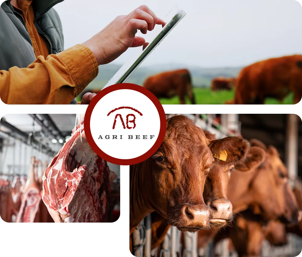 A Growing Operation That Had Outpaced Its Own Tracking System