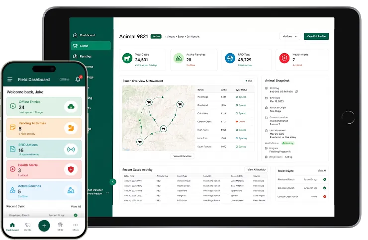 Agri Beef Replaces Paper-Based Ranch Tracking With Real-Time Cattle Traceability